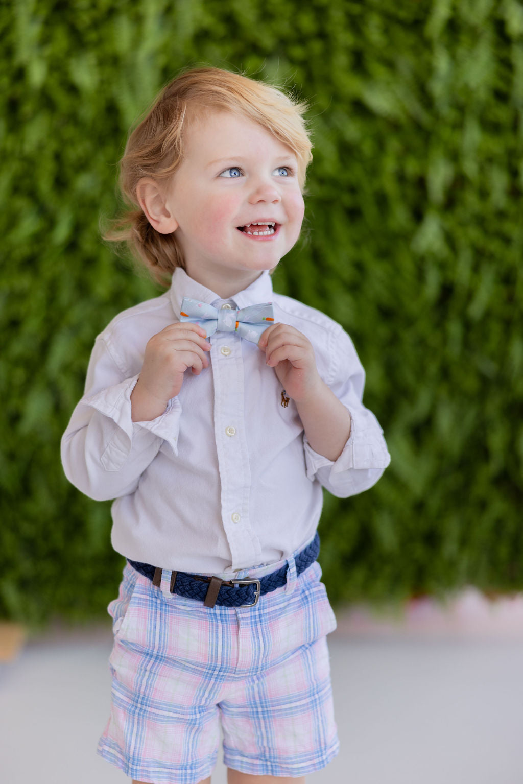 Small Easter Bow Tie
